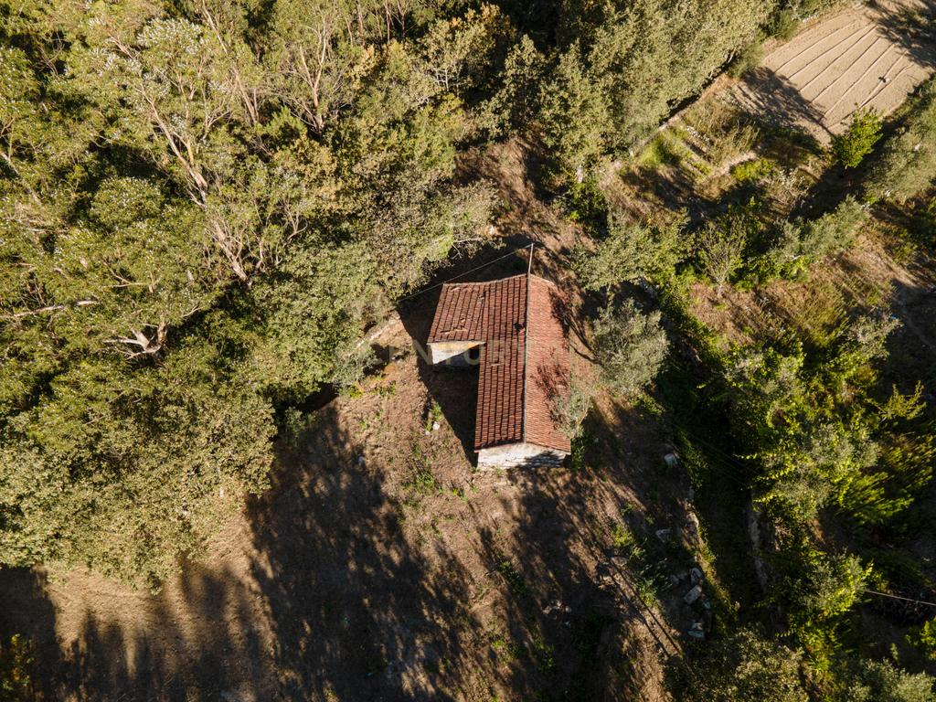 Moradia para reconstrução em Lardosa, Soalhães - Image 2