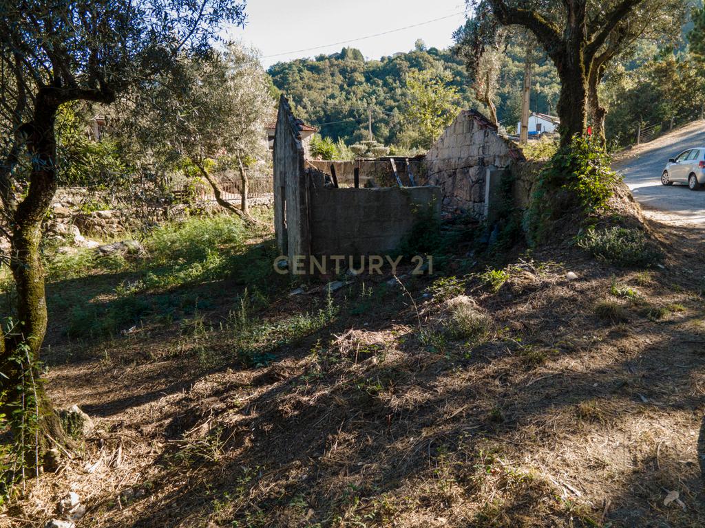 Moradia para reconstrução em Lardosa, Soalhães - Image 4