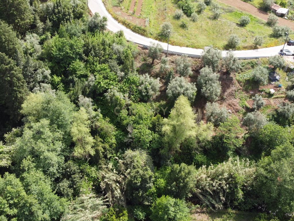 Terreno com 1046 m2 em Brasfemes - Image 6