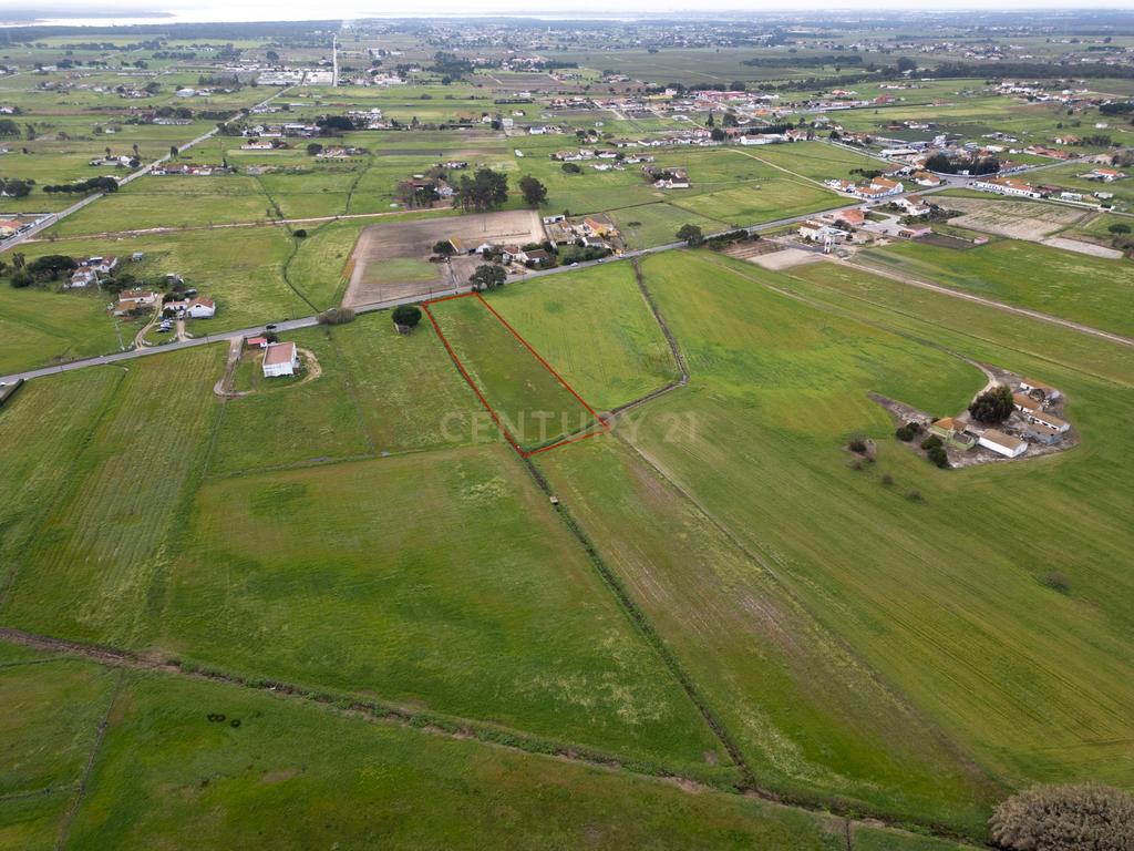 Terreno 5000m2 Urbanizável em Lagameças - Image 5