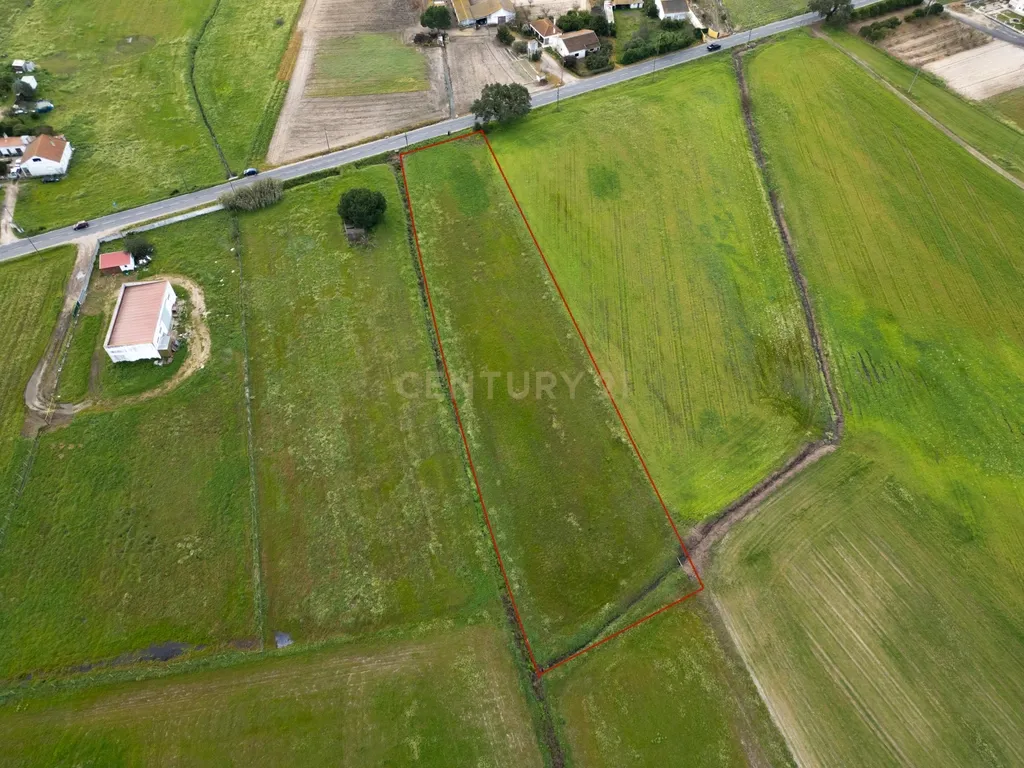 Terreno 5000m2 Urbanizável em Lagameças - Image 9
