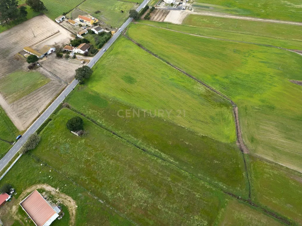 Terreno 5000m2 Urbanizável em Lagameças - Image 14
