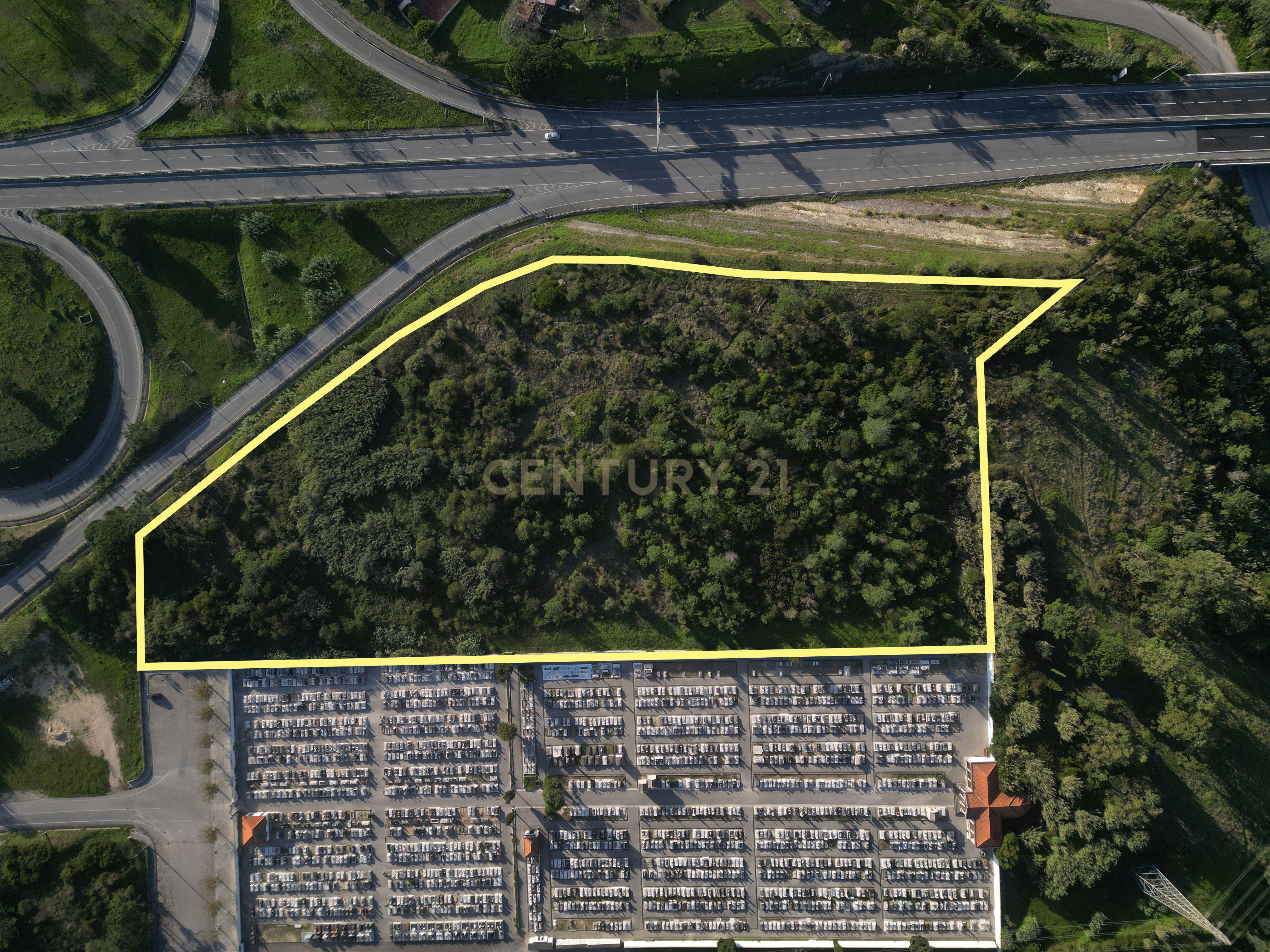 Oportunidade Única para Construtores: 2 Terrenos Rústicos na Entrada da Figueira da Foz - Image 2
