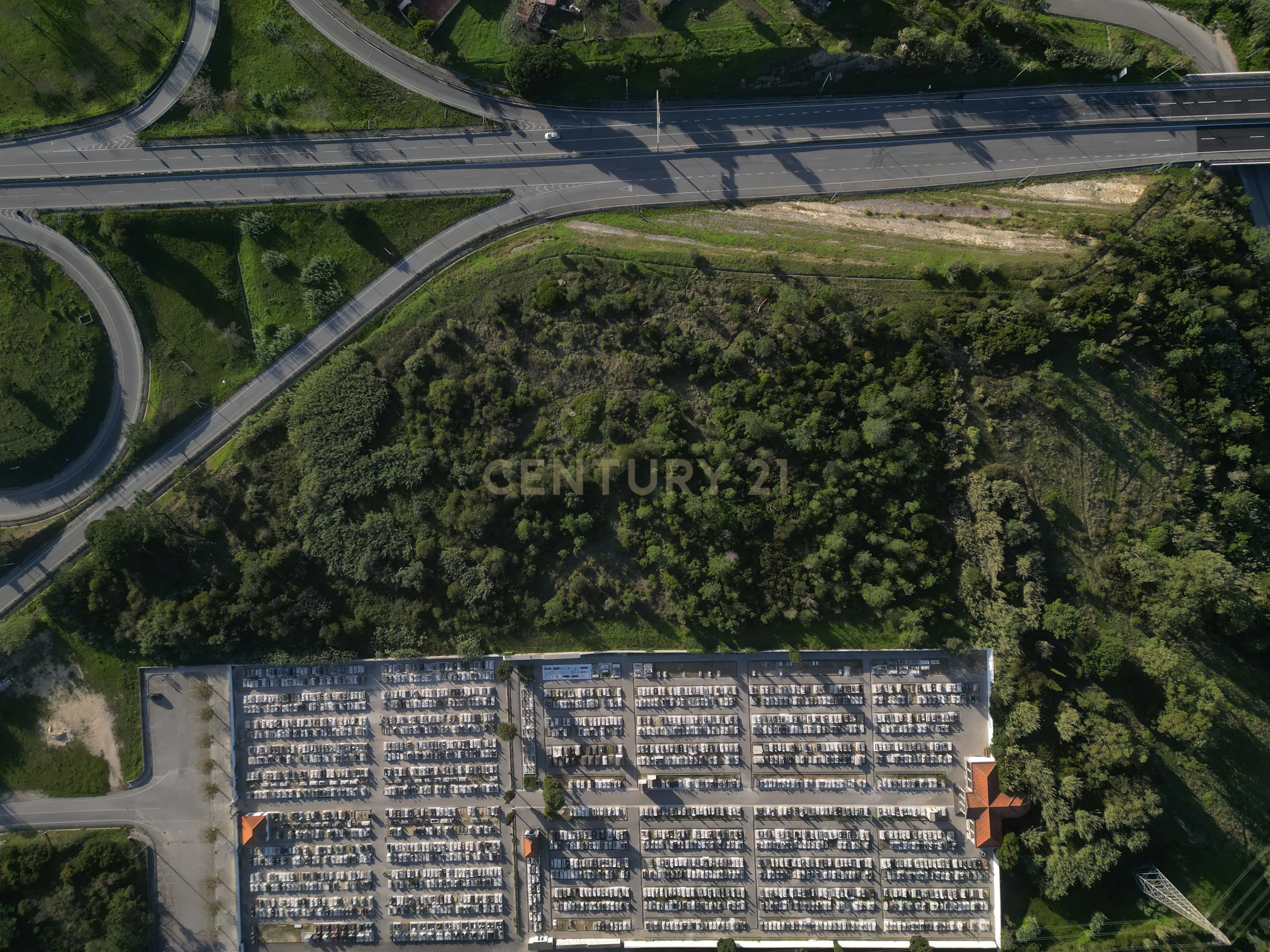 Oportunidade Única para Construtores: 2 Terrenos Rústicos na Entrada da Figueira da Foz - Image 4