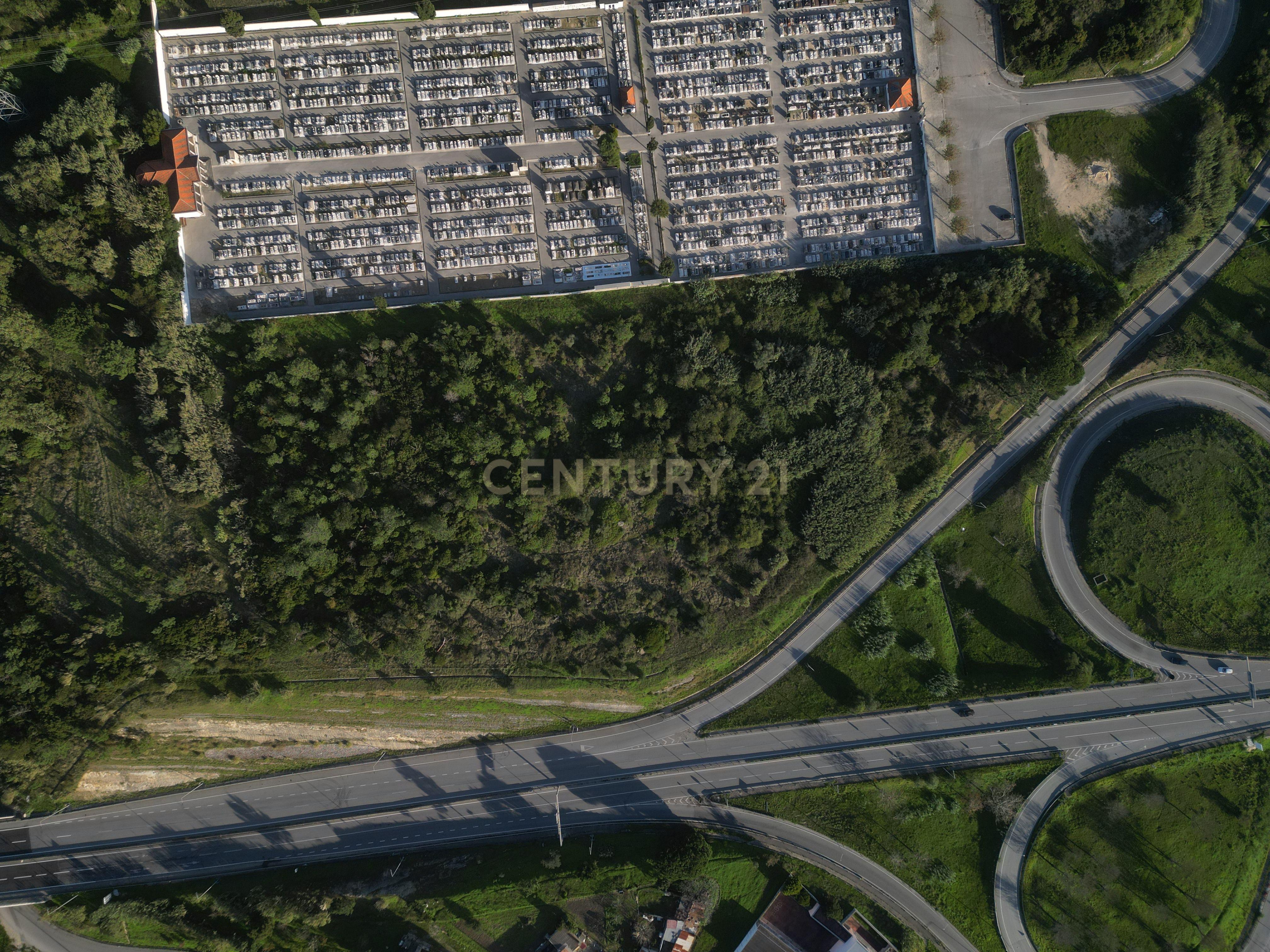Oportunidade Única para Construtores: 2 Terrenos Rústicos na Entrada da Figueira da Foz - Image 14