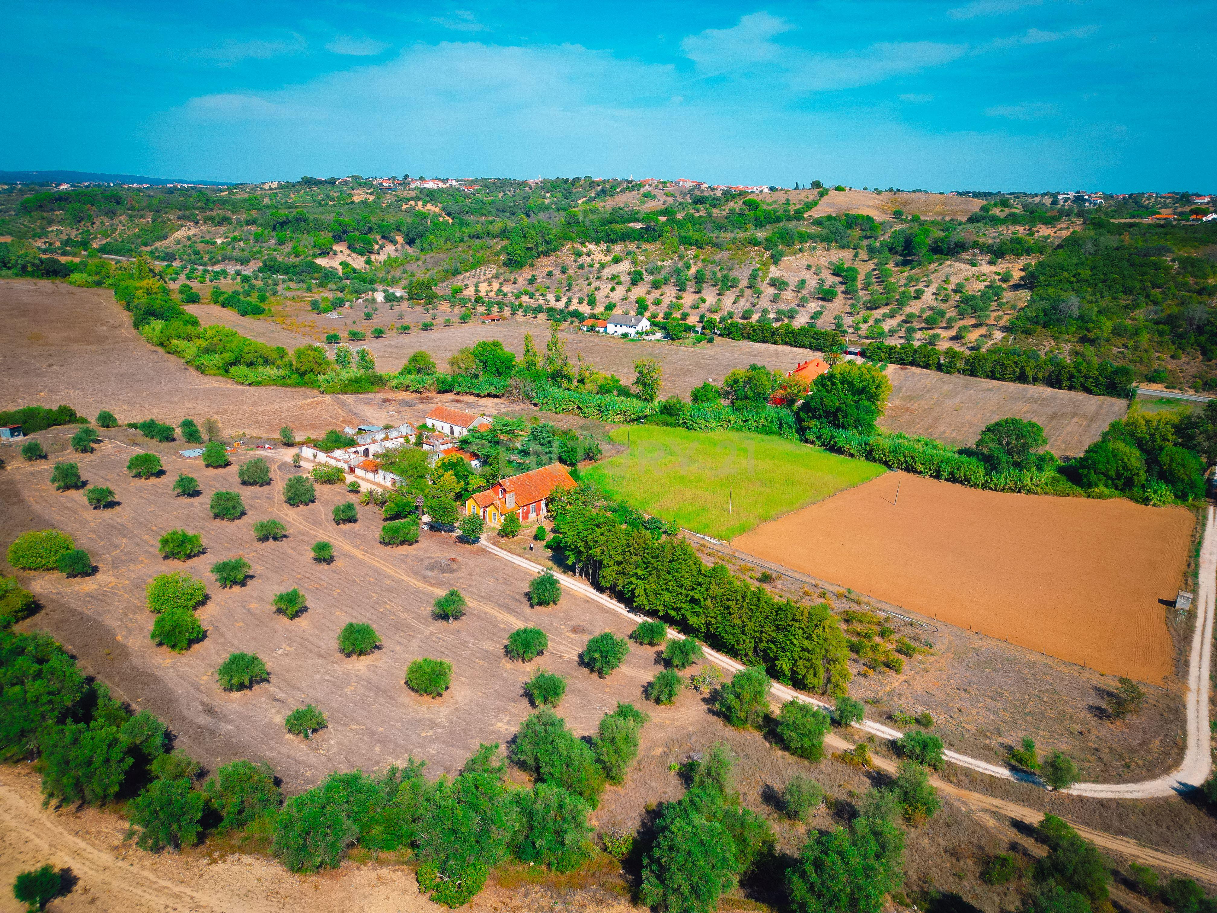 Quinta para venda - Image 47