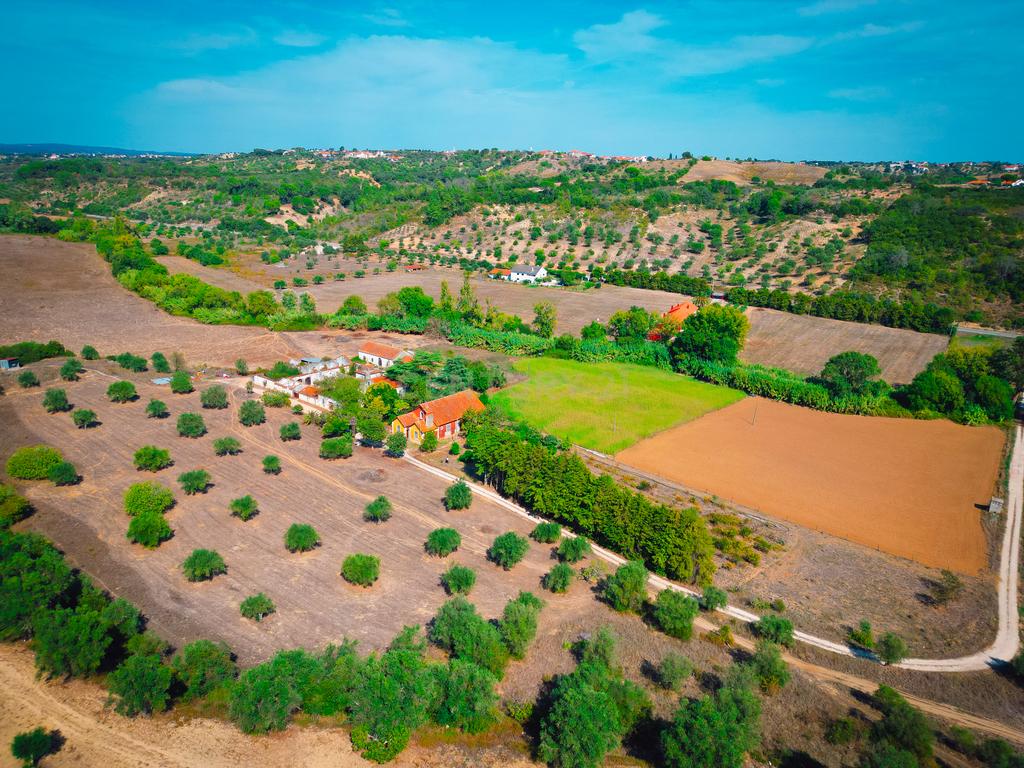 Quinta para venda - Image 47