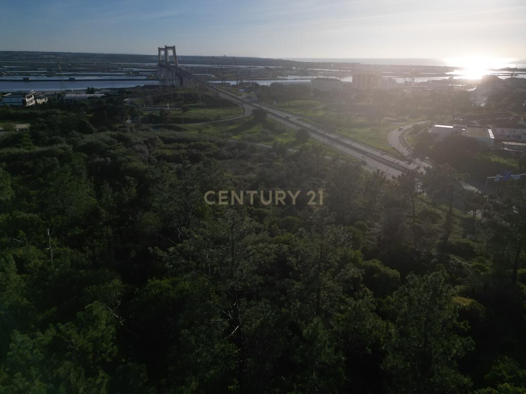 Oportunidade de Investimento: Dois Terrenos Contíguos com Potencial Construtivo – Figueira da Foz - Image 9