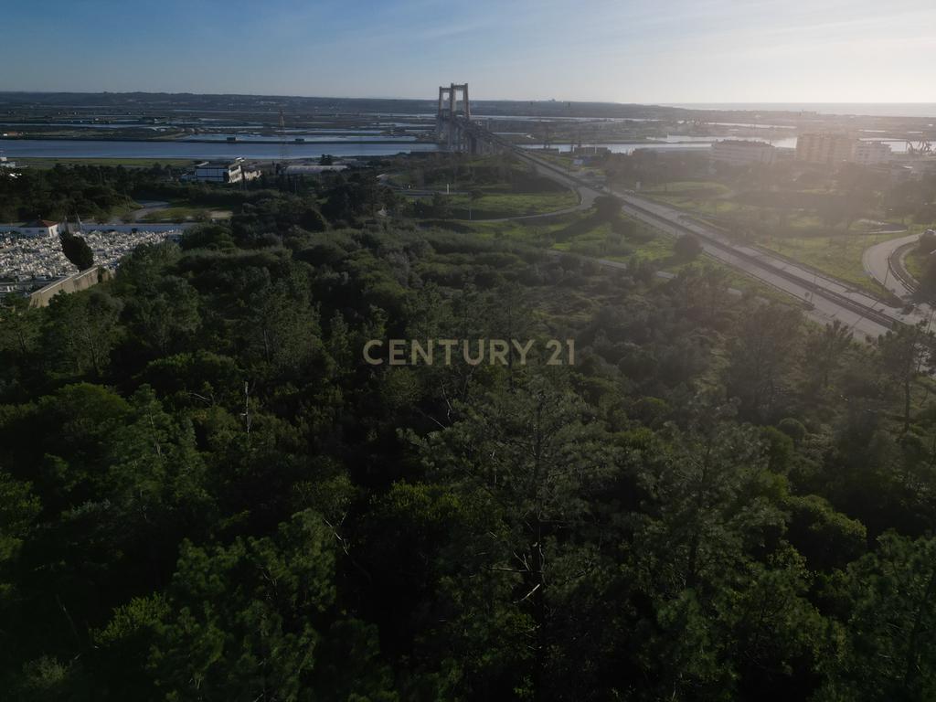Oportunidade de Investimento: Dois Terrenos Contíguos com Potencial Construtivo – Figueira da Foz - Image 10