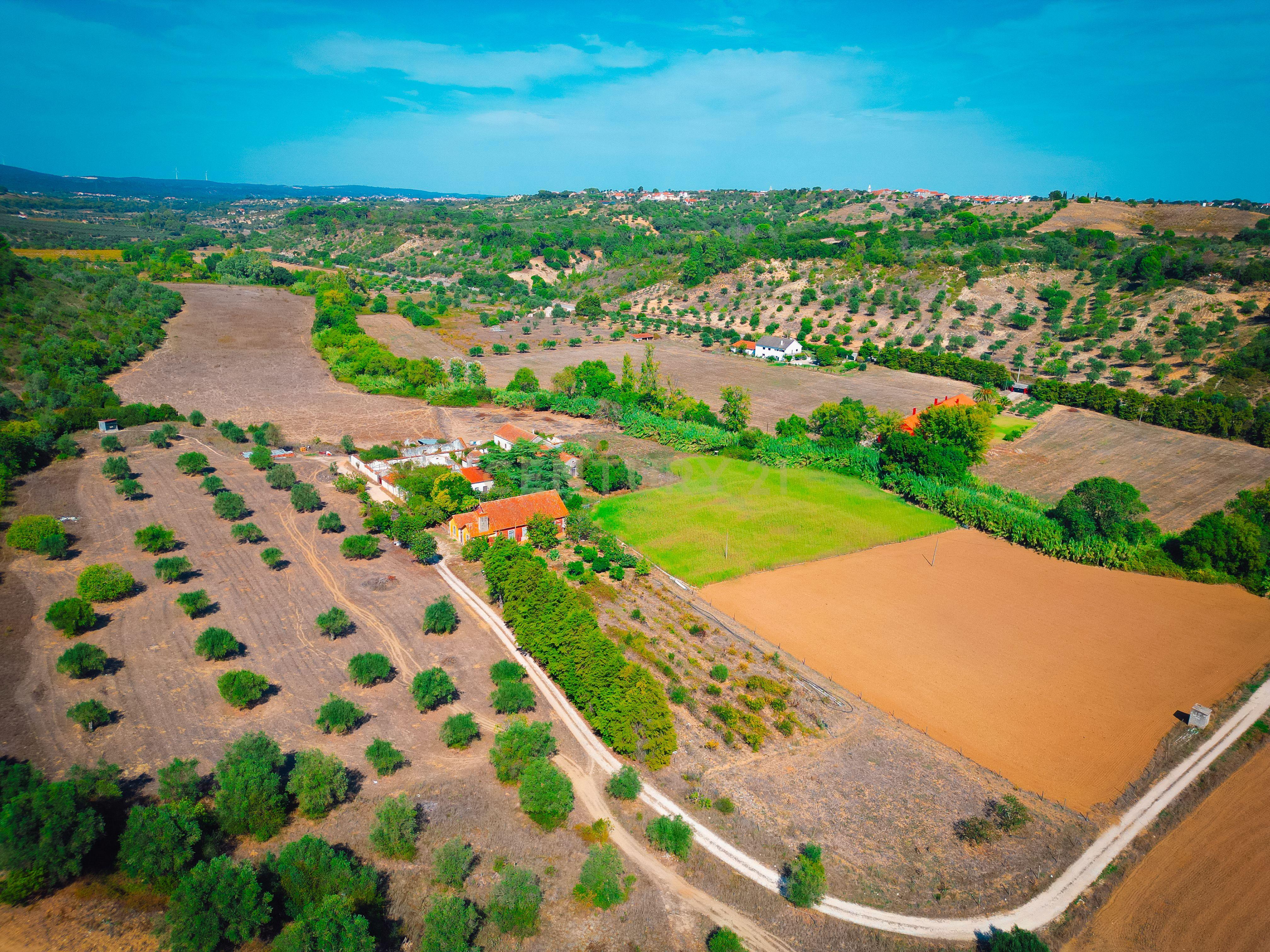 Quinta para venda - Image 3