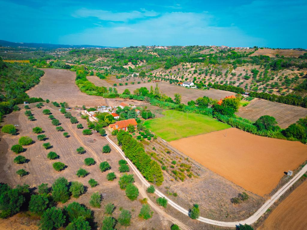 Quinta para venda - Image 3