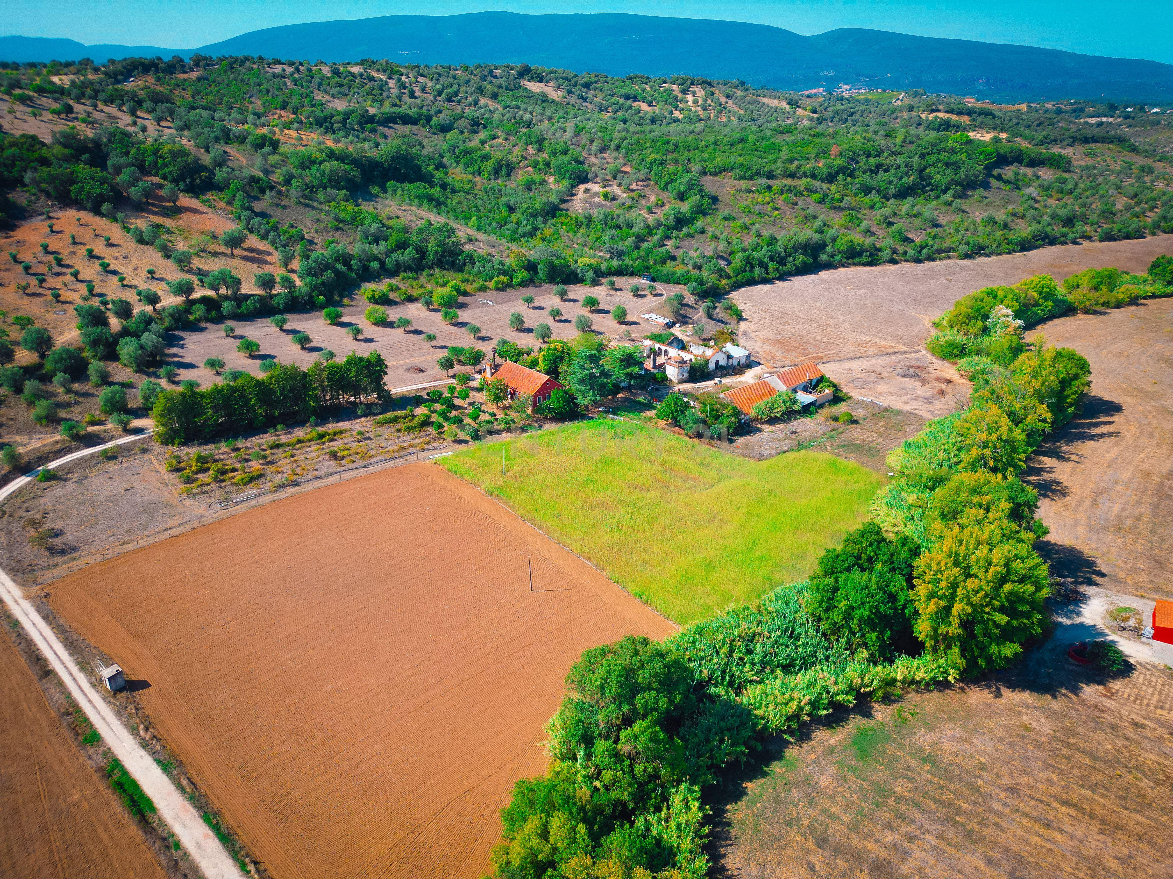 Quinta para venda - Image 41