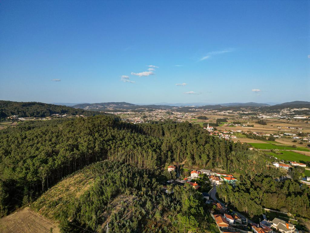 Moradia venda - Minhotães - Image 15