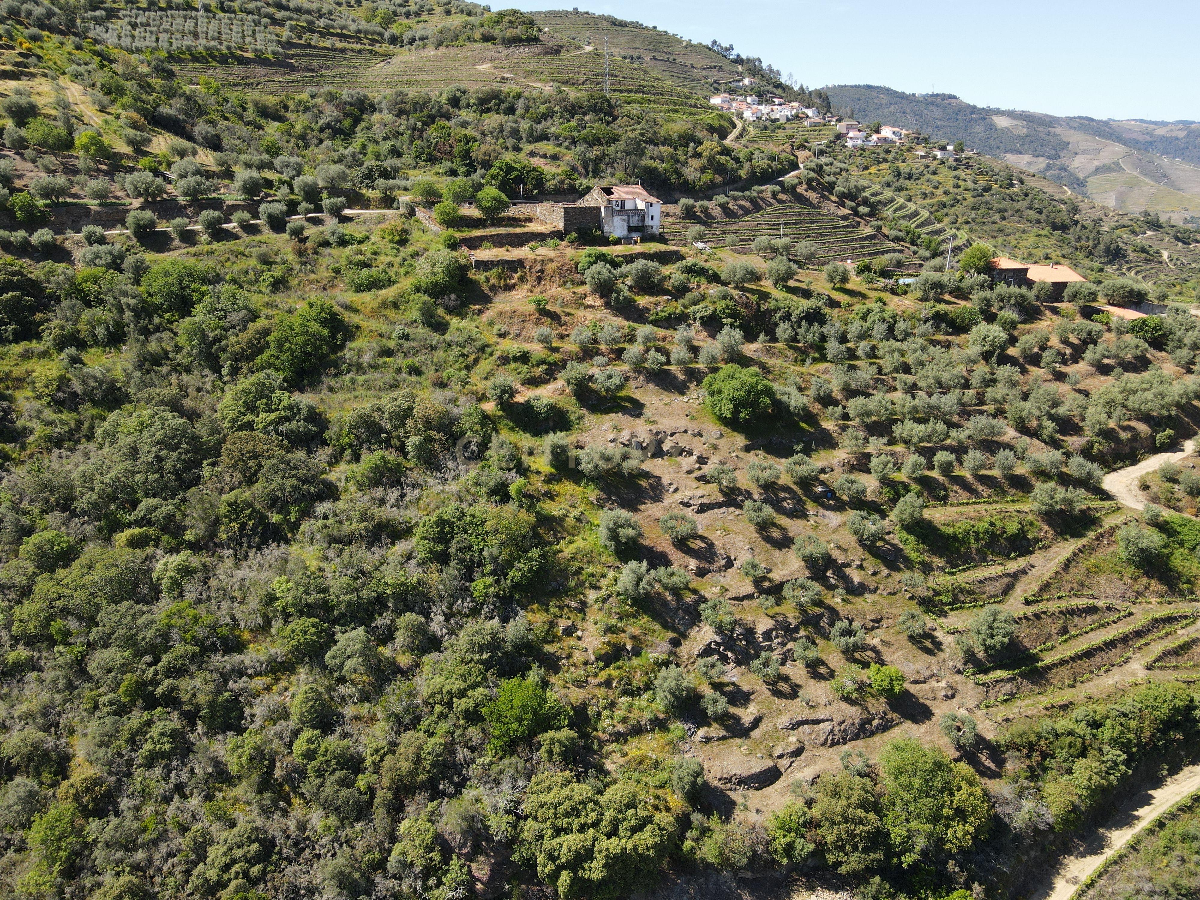 Quinta Fraga do Gato no Alto Douro Vinhateiro com cerca de 6000 m2 - Image 29