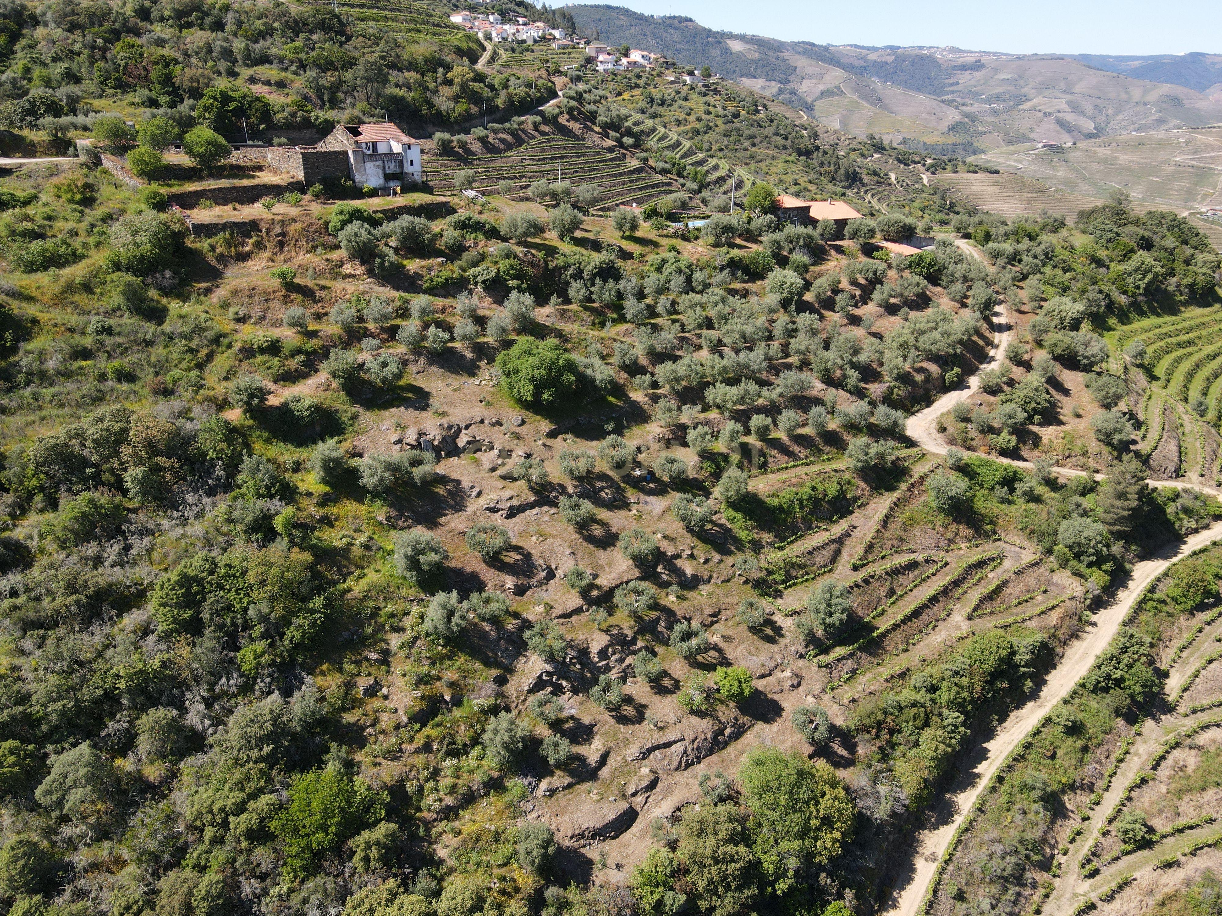 Quinta Fraga do Gato no Alto Douro Vinhateiro com cerca de 6000 m2 - Image 30