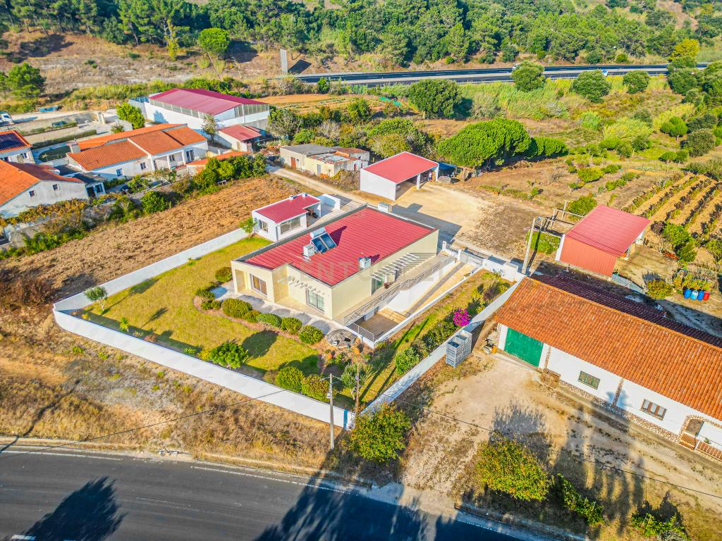 Quintinha única na vila de Gaeiras, com a vila de Óbidos no horizonte. - Image 14