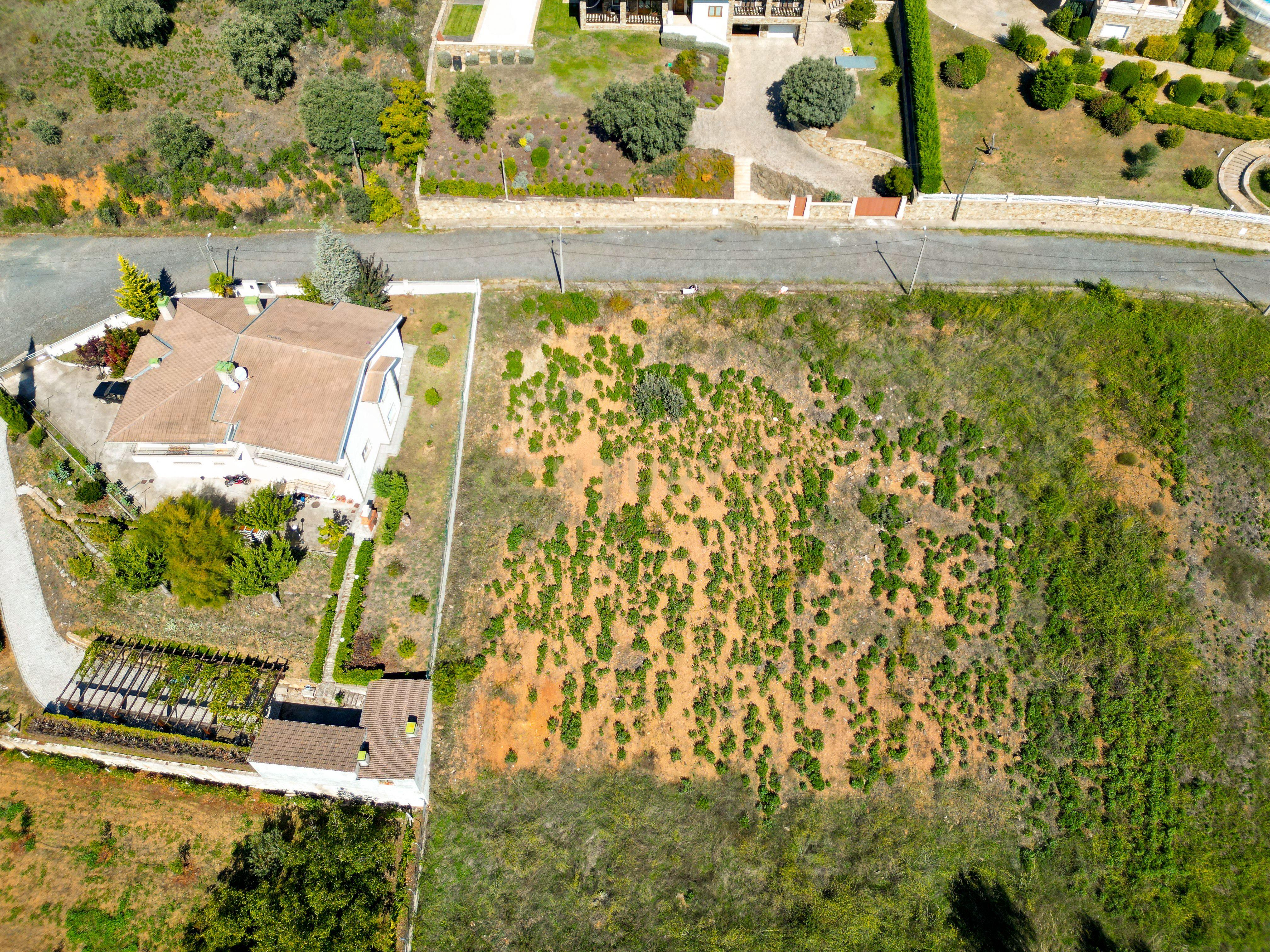 Terreno para Moradia Unifamiliar - Image 8