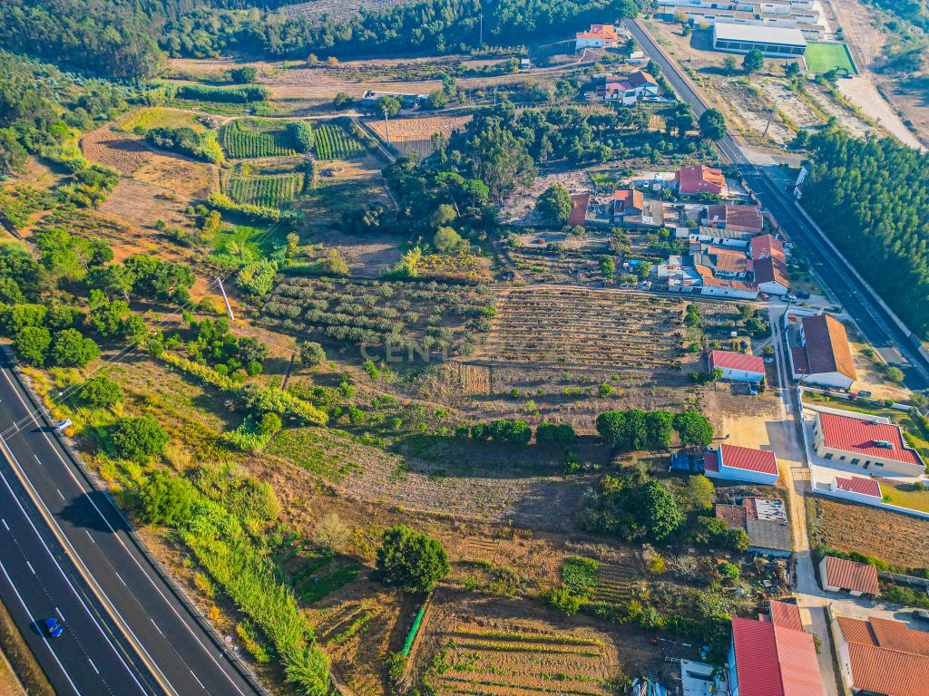 Quintinha única na vila de Gaeiras, com a vila de Óbidos no horizonte. - Image 18