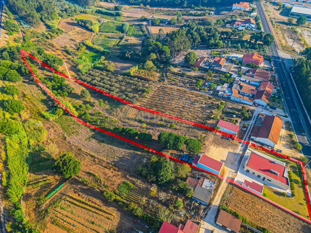 Quintinha única na vila de Gaeiras, com a vila de Óbidos no horizonte. - Image 19