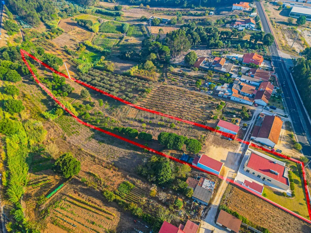 Quintinha única na vila de Gaeiras, com a vila de Óbidos no horizonte. - Image 19