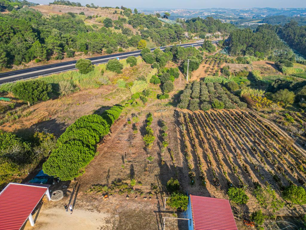 Quintinha única na vila de Gaeiras, com a vila de Óbidos no horizonte. - Image 20