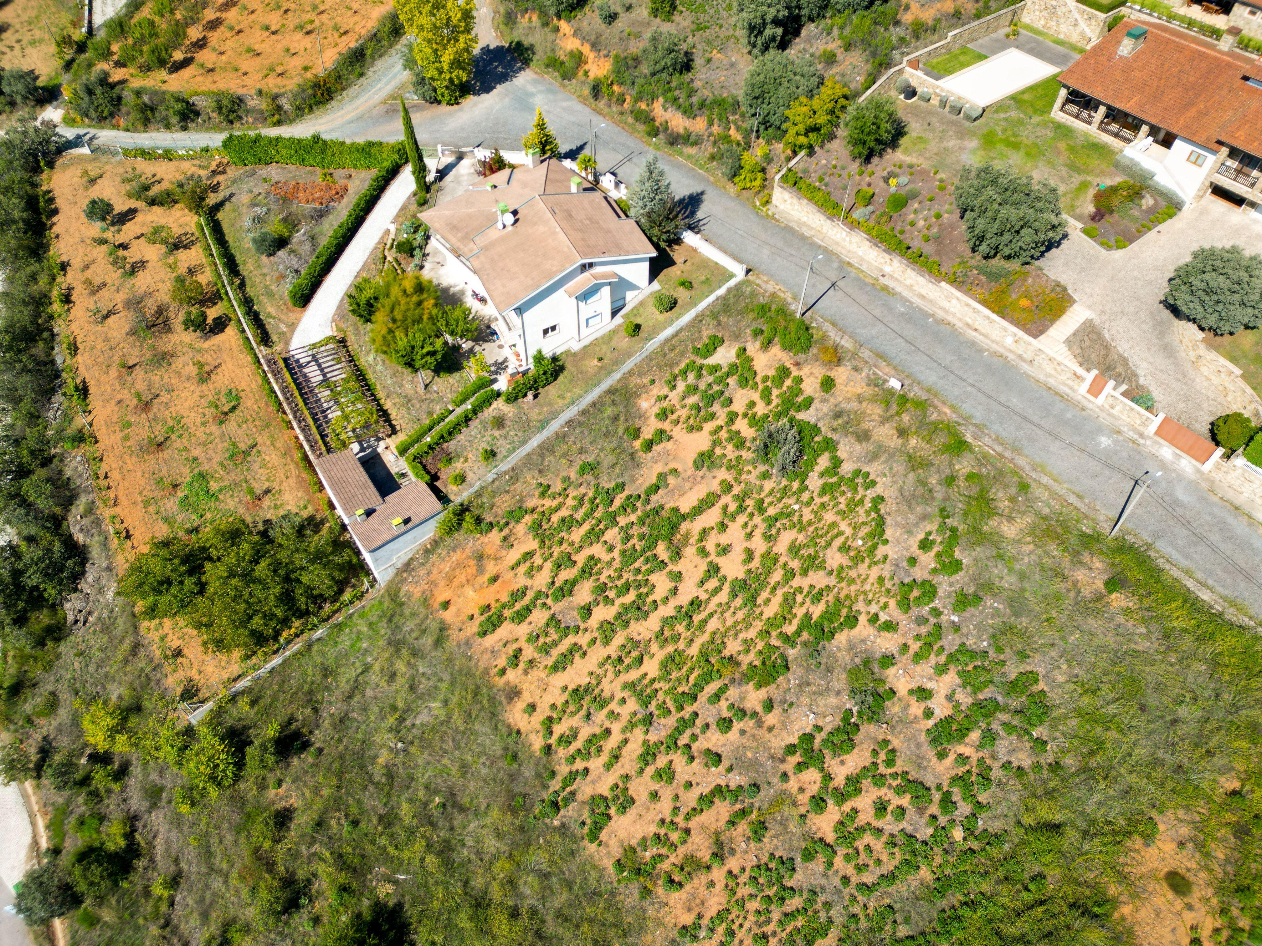 Terreno para Moradia Unifamiliar - Image 9