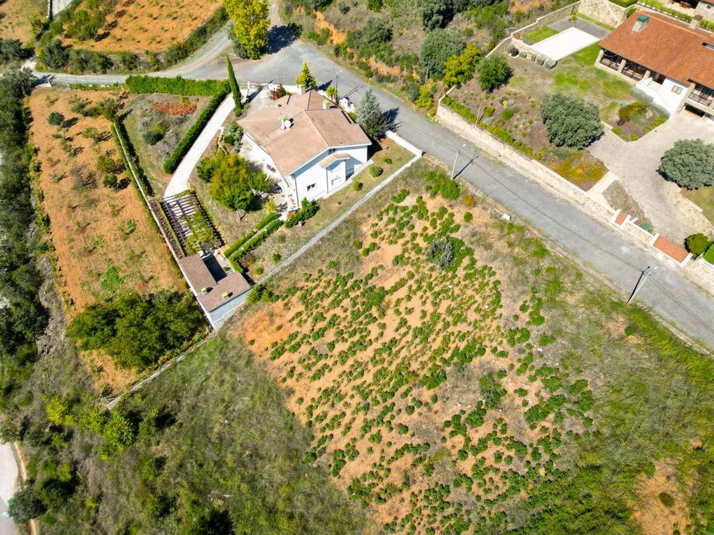 Terreno para Moradia Unifamiliar - Image 9