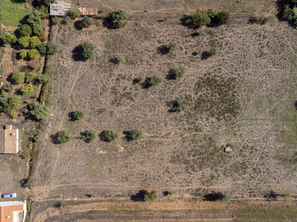 Quinta a 20 km da Costa Vicentina, 8.250m2 de terreno - Image 12