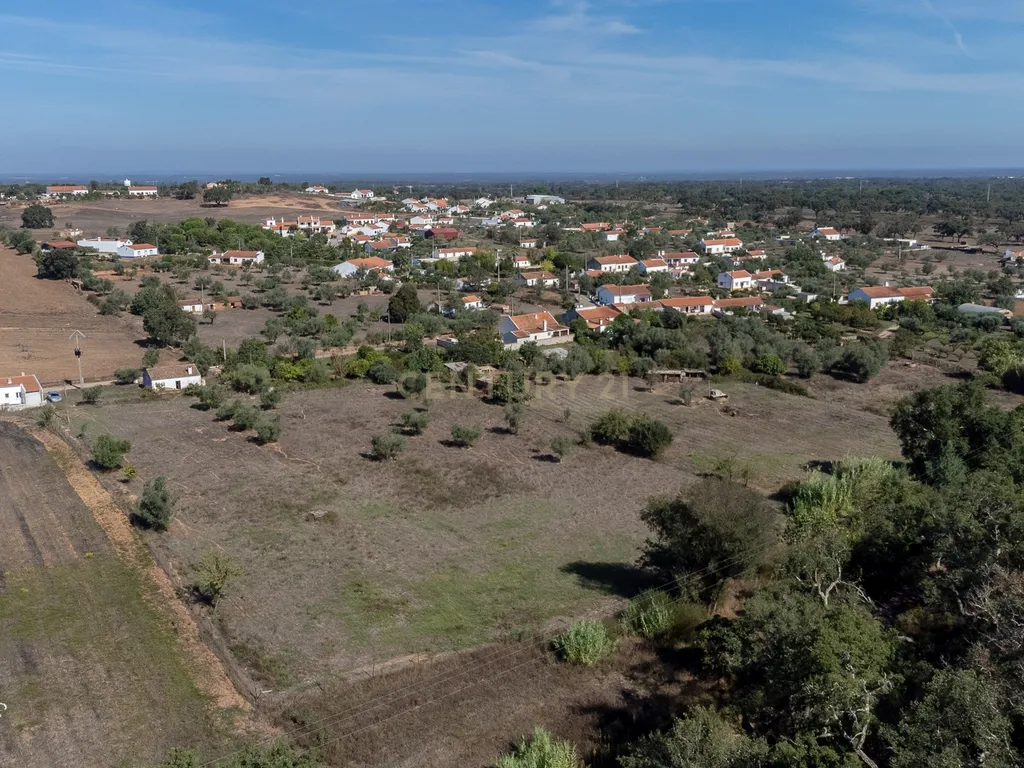 Quinta a 20 km da Costa Vicentina, 8.250m2 de terreno - Image 11