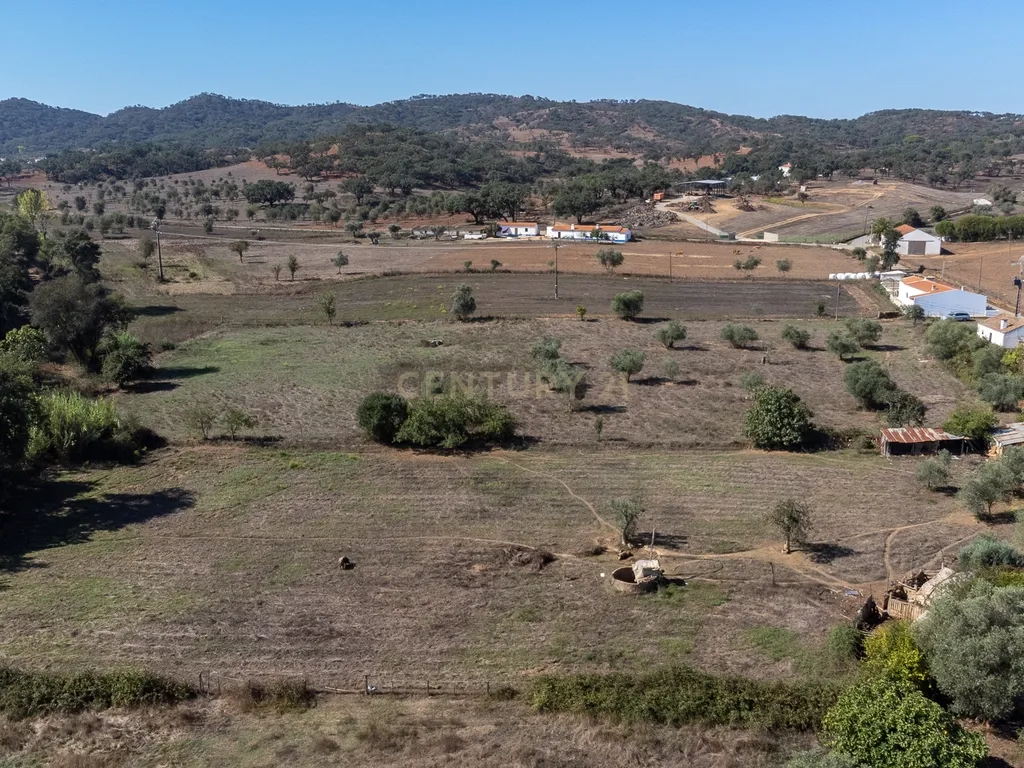 Quinta a 20 km da Costa Vicentina, 8.250m2 de terreno - Image 22