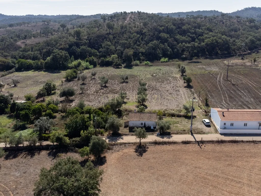 Quinta a 20 km da Costa Vicentina, 8.250m2 de terreno - Image 15