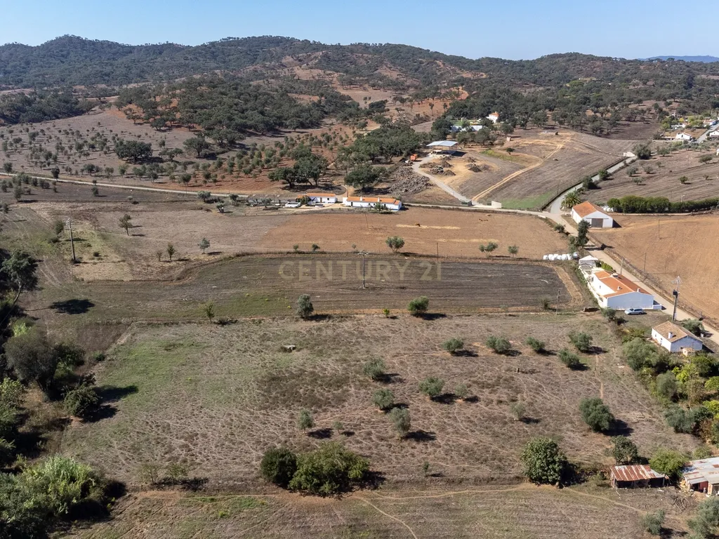 Quinta a 20 km da Costa Vicentina, 8.250m2 de terreno - Image 21