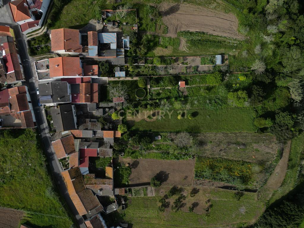 Moradia T8 com piso térreo adaptado, pátio interior, churrasqueira, jardim e horta no Paião, Figueira da Foz - Image 6