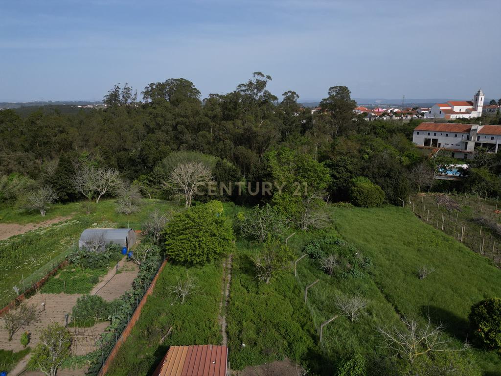 Moradia T8 com piso térreo adaptado, pátio interior, churrasqueira, jardim e horta no Paião, Figueira da Foz - Image 10