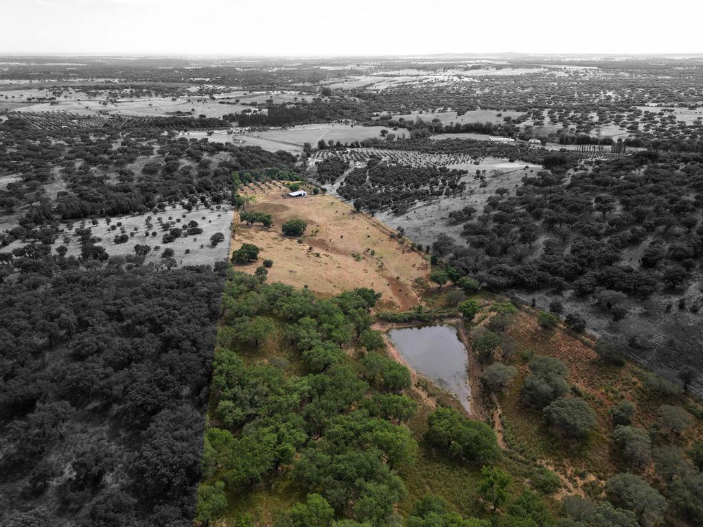 Quinta Courela da Mina - Image 1
