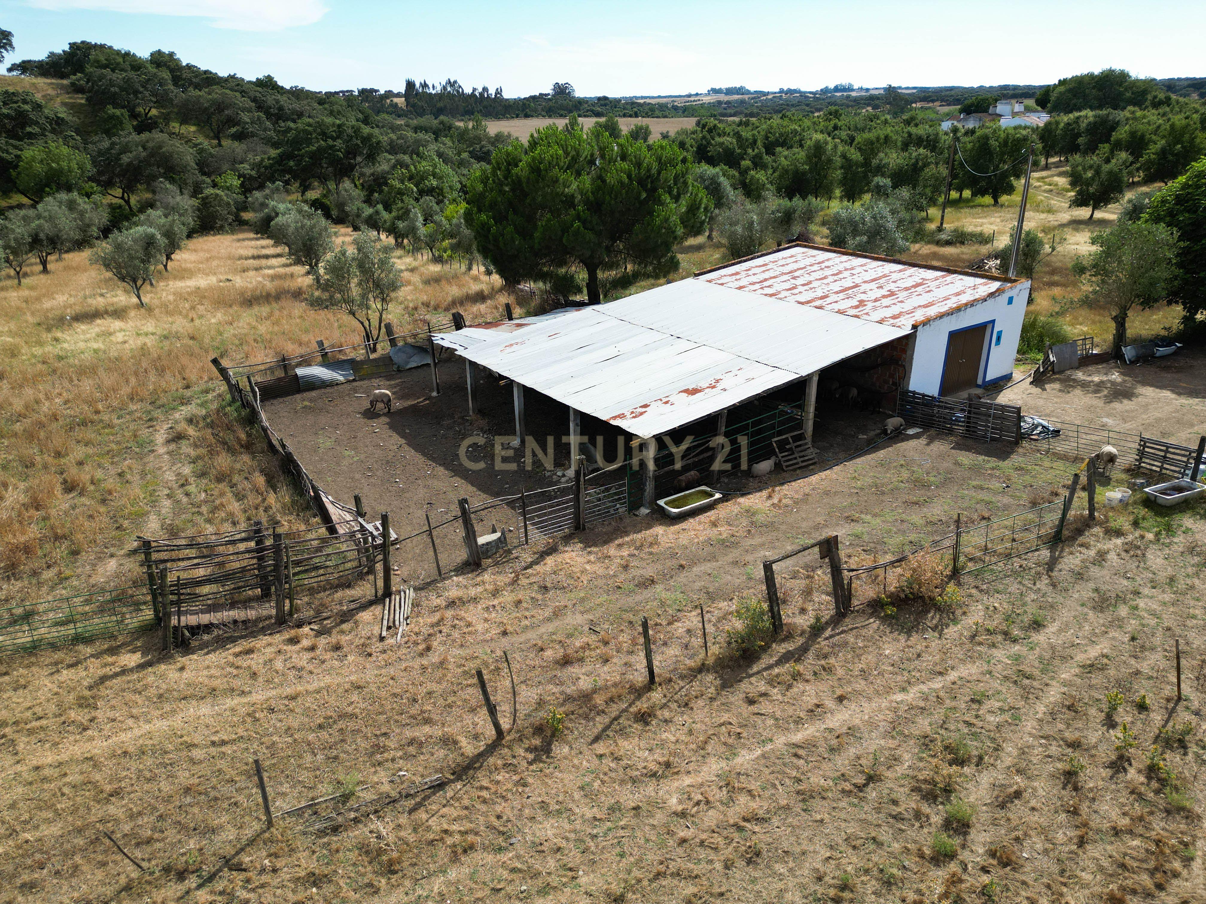Quinta Courela da Mina - Image 8
