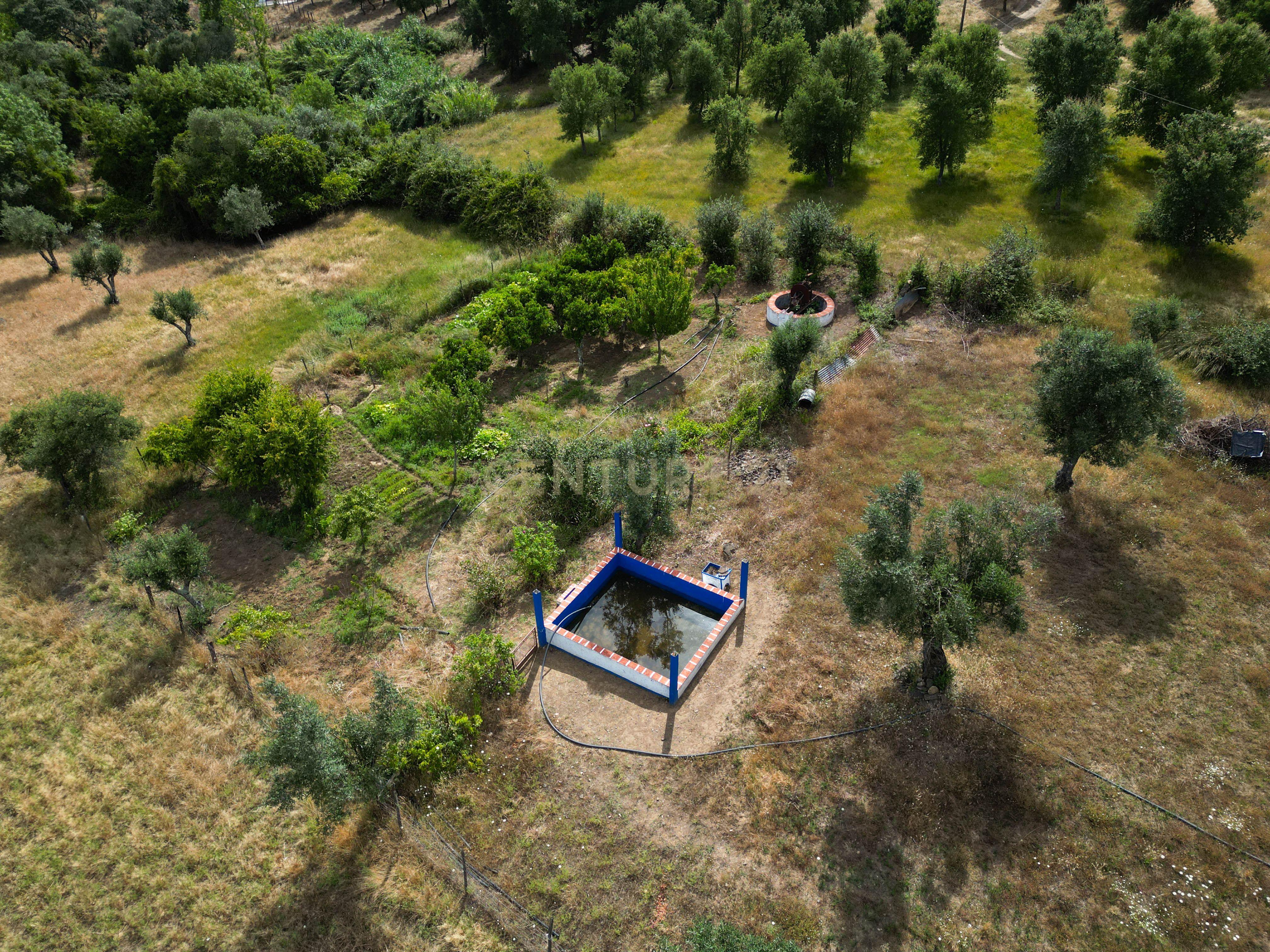 Quinta Courela da Mina - Image 7