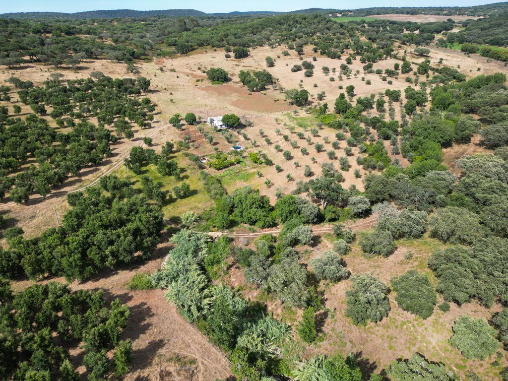 Quinta Courela da Mina - Image 9