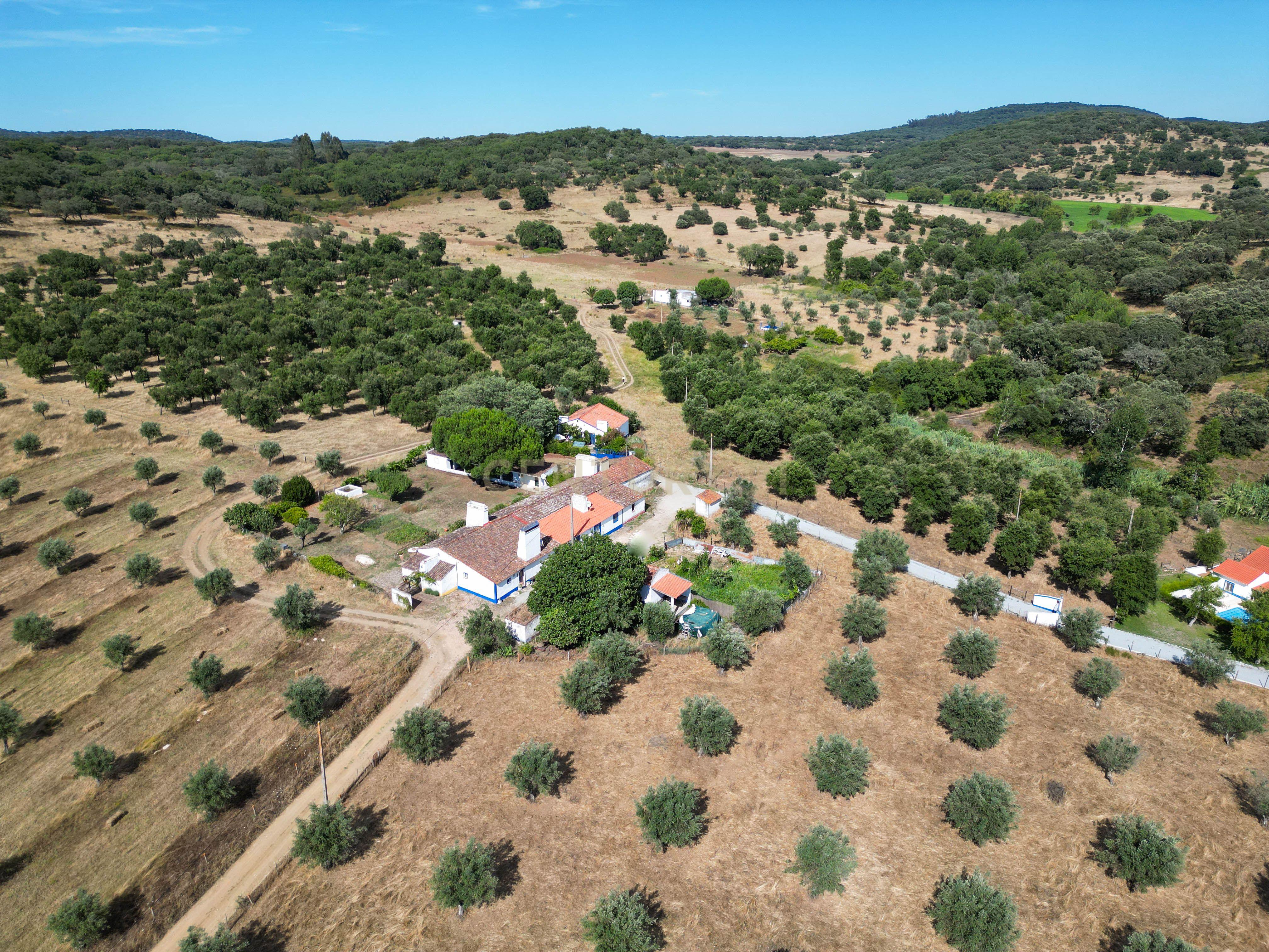 Quinta Courela da Mina - Image 2
