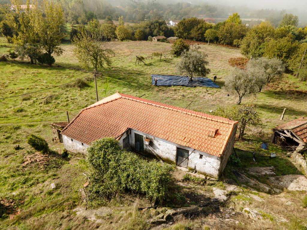 Quinta do Tarro, Rosém, Marco de Canaveses - Image 3