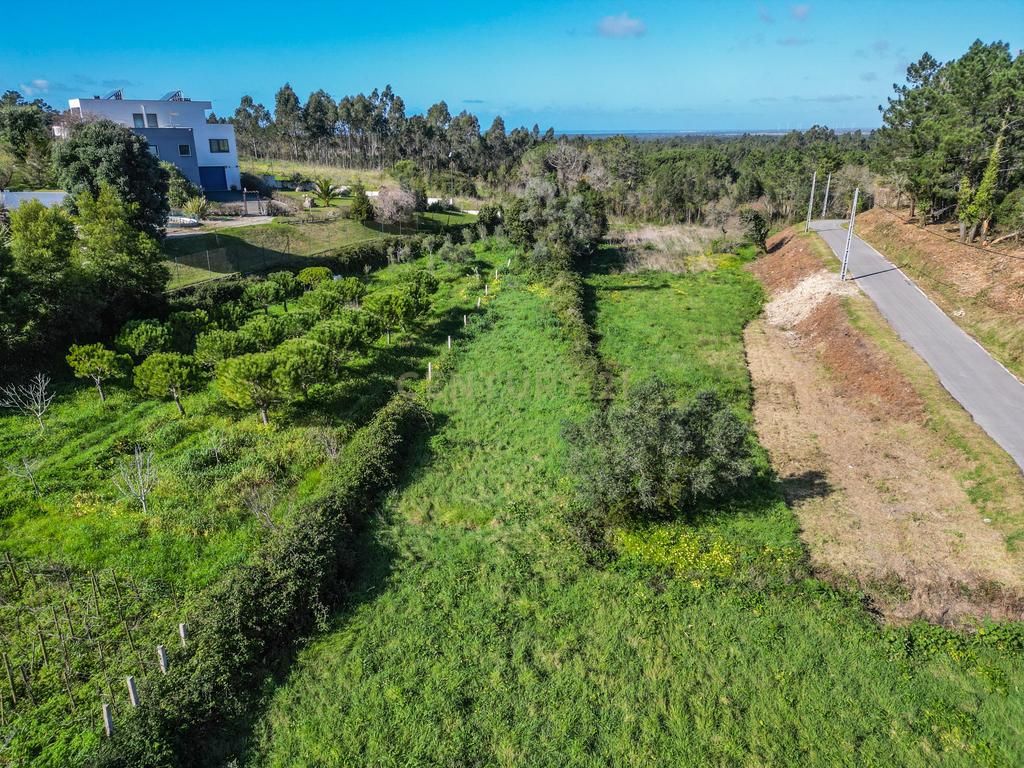 Terreno Plano para Construção - Image 14