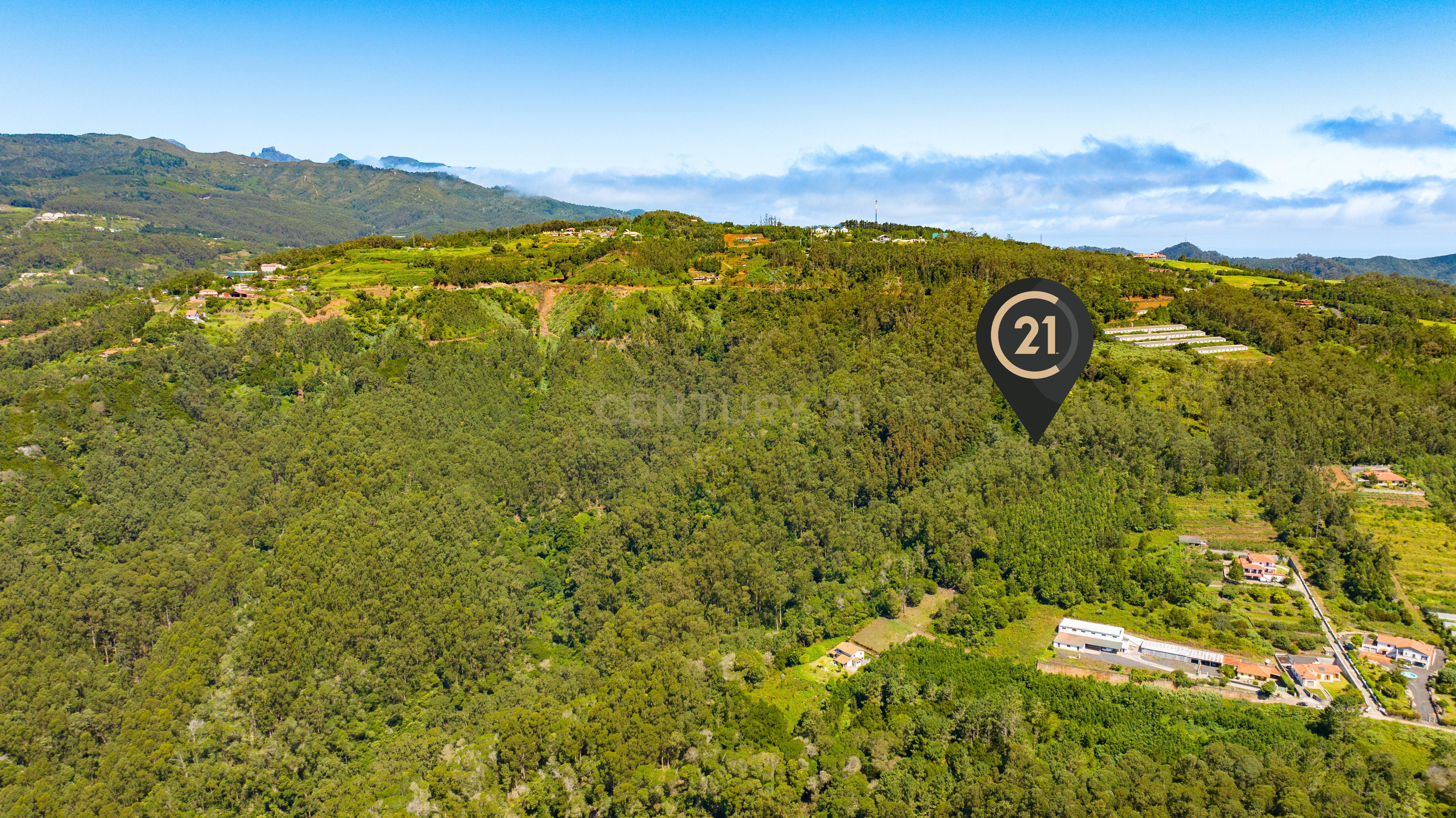 Terreno Rústico de 1150 m2 - Santa Cruz, Madeira - Image 4