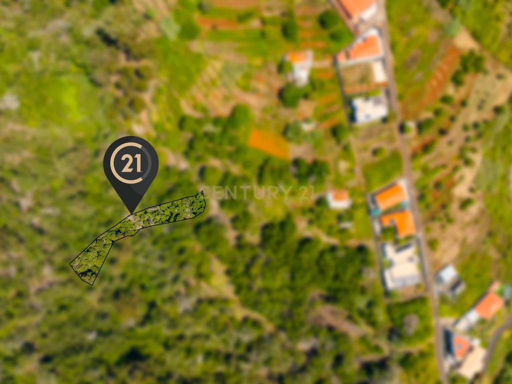 Terreno Agrícola de 850 m2 - Eiras, Santa Cruz, Madeira - Image 5