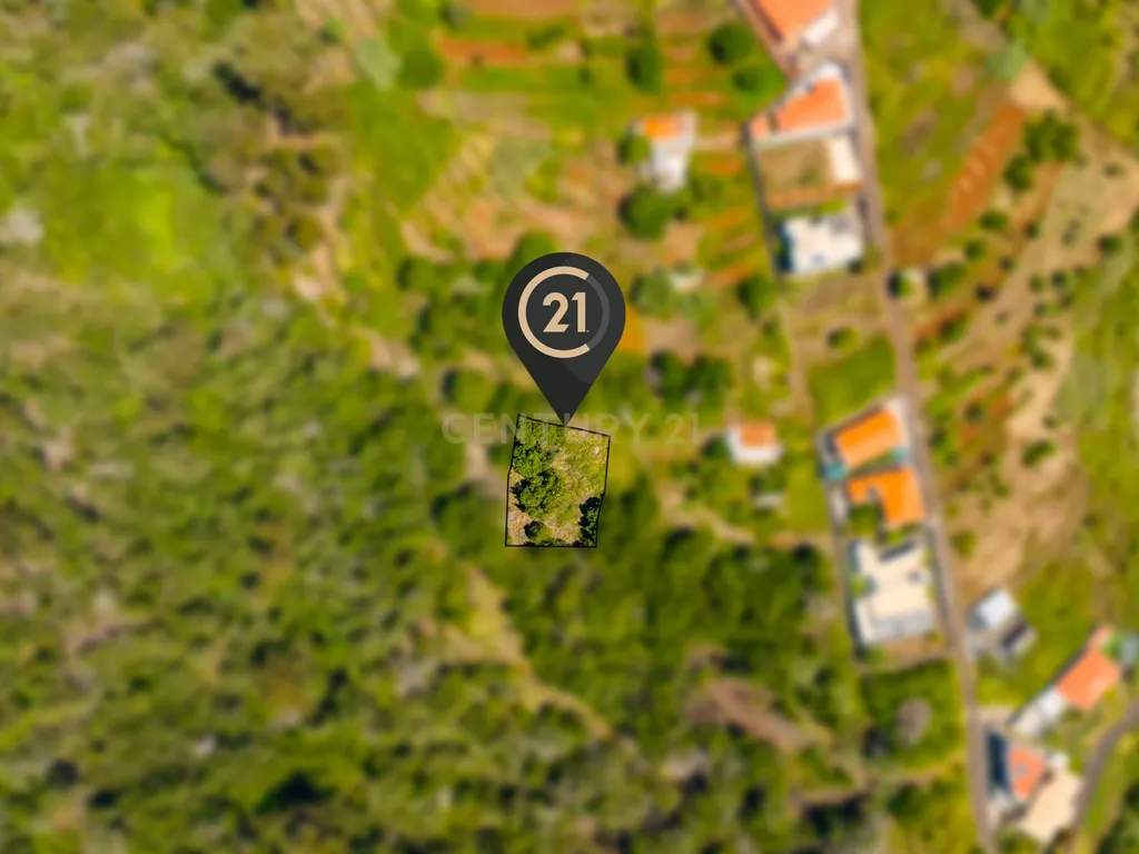 🌿 Terreno 640 m2 Rústico-Agrícola nas Eiras - R 190 - Santa Cruz, Madeira - Image 11