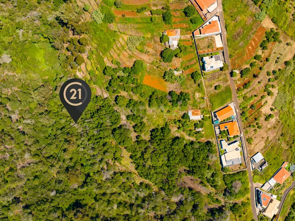 Terreno Agrícola de 850 m2 - Eiras, Santa Cruz, Madeira - Image 2