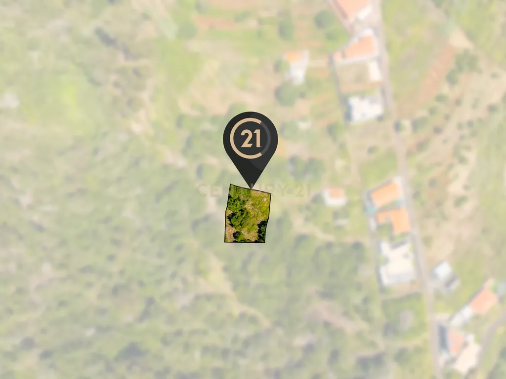 🌿 Terreno 640 m2 Rústico-Agrícola nas Eiras - R 190 - Santa Cruz, Madeira - Image 3