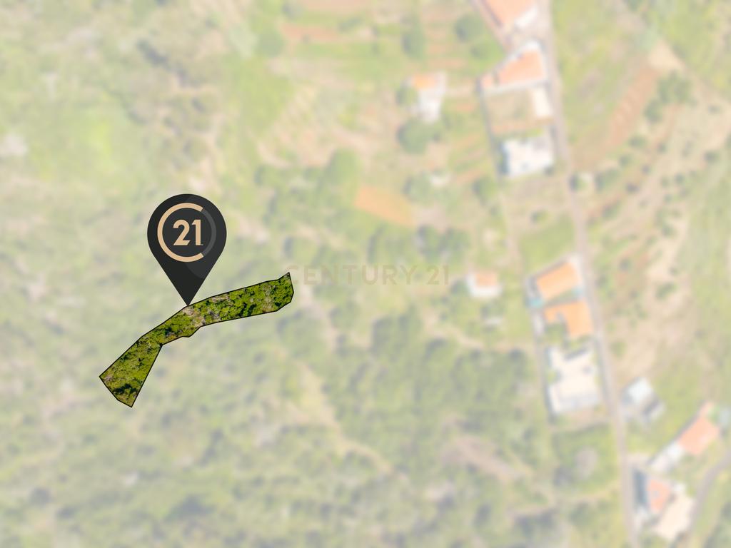 Terreno Agrícola de 850 m2 - Eiras, Santa Cruz, Madeira - Image 3