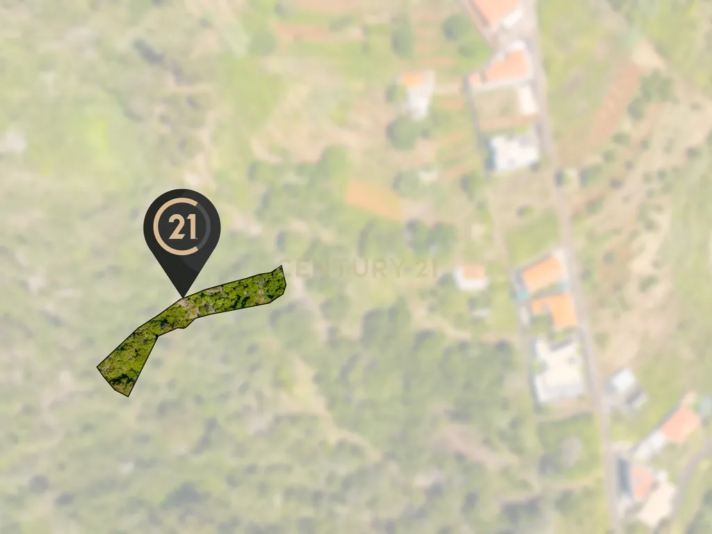 Terreno Agrícola de 850 m2 - Eiras, Santa Cruz, Madeira - Image 3