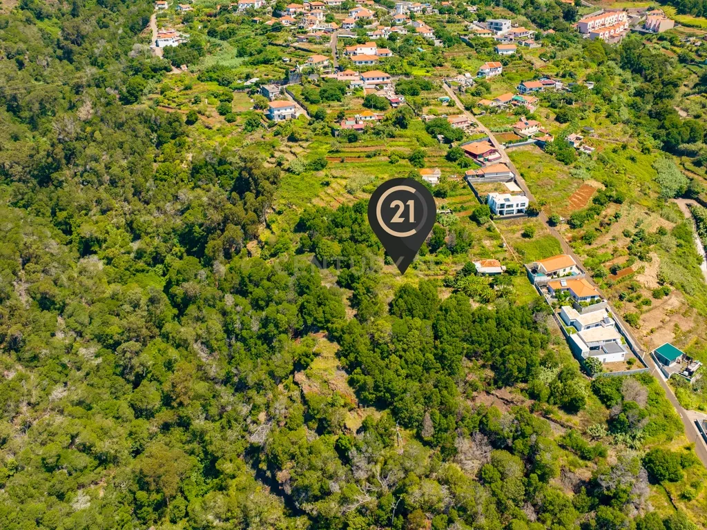 🌿 Terreno 640 m2 Rústico-Agrícola nas Eiras - R 190 - Santa Cruz, Madeira - Image 7