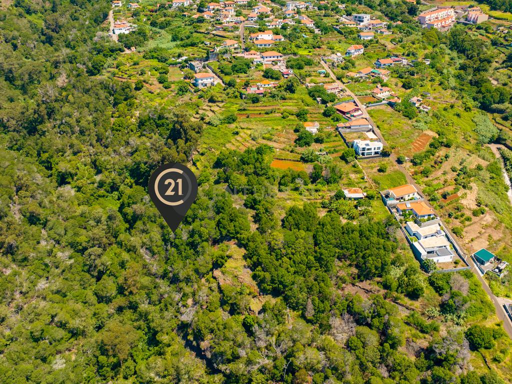 Terreno Agrícola de 850 m2 - Eiras, Santa Cruz, Madeira - Image 7